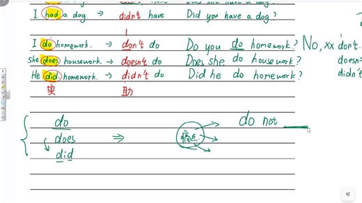 do系列助动词的用法