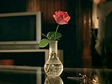 Time Warner Cable - "Roses"