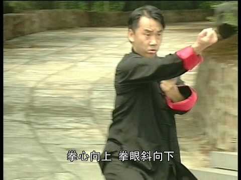 Xing Yi Quan ( Hsing I Chuan) 中华武藏形意拳1