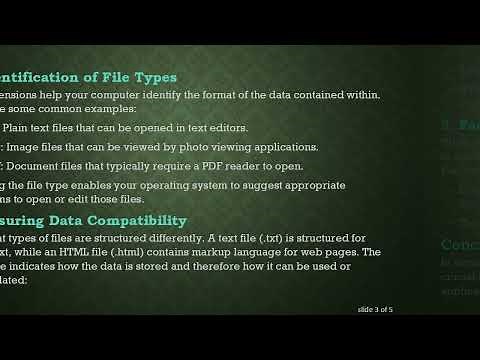 Understanding the Purpose of File Extensions: Why Are They Created?