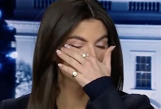 CNN Anchor Starts Crying During Middle Of D.C. Plane Crash Interview