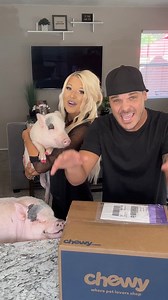 Visit Chewy and get all of your pet's needs delivered right to your doorstep. | Chewy