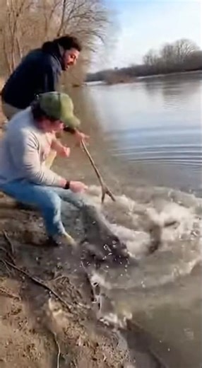 Monster Catfish Tugged His Hand From Shore… Buddy Loosened It🤯😱 #CatfishHandBite #RiverRescue