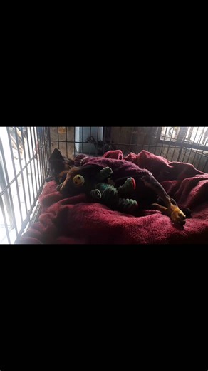 Sandra Echeverria on Reels