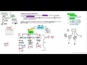 PART 3 - IAS 36 - Impairment Revision CGUs (19 Min)