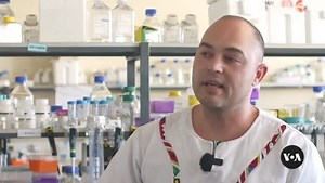 Snakebites are classified as a neglected tropical disease by the World Health Organization. In South Africa and other countries in the region, there are numerous barriers to getting the antivenom necessary to save limbs and lives. But scientists are working to make antivenom cheaper, safer and easier to produce. Kate Bartlett reports from Johannesburg. Camera: Zaheer Cassim | VOA Studio 7 | Facebook