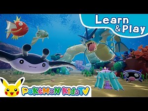 360° Pokédex | VR | Learn & Play with Pokémon | Pokémon Kids TV​