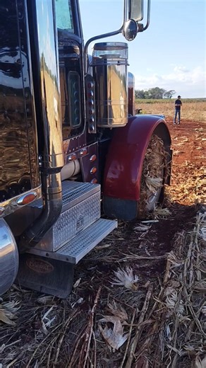 Don't try mudding with a semi truck #mud #semi