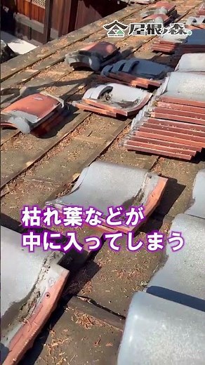 【雨漏りさせない】下葺き材（ルーフィング）交換タイミング #屋根修理 #リフォーム #ルーフィング