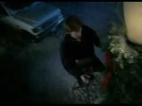 Budweiser - Clydesdales Christmas Lights