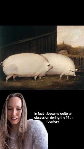 218K views · 5.8K reactions | The 19th-century obsession with large rectangular livestock! #history #19thcentury #victorian #farming #historyfacts #historywithamy | History with Amy | Facebook