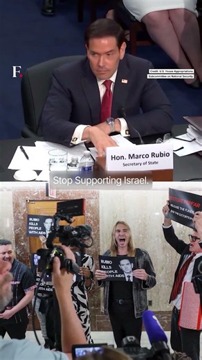 'Stop Supporting Israel': Protesters Heckle Rubio at Senate Committee Hearing