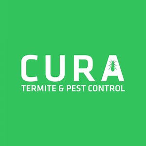 Cura Termite and Pest Control | Anaheim CA