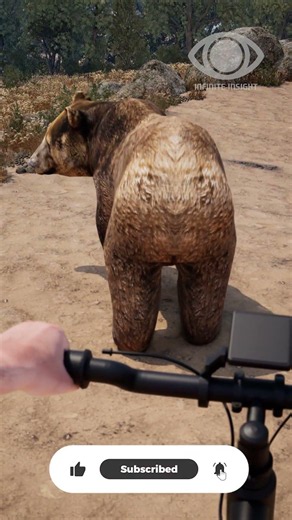 This is why you don't ride a bike in the wild! 🛑🐘 #funny #animals #viral #bear #shorts