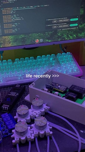 Exploring Life Through IoT Projects