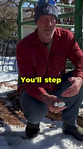 46K views · 610 reactions | Dive into the fascinating world of goat...