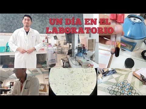 Un día en el laboratorio de análisis clínicos