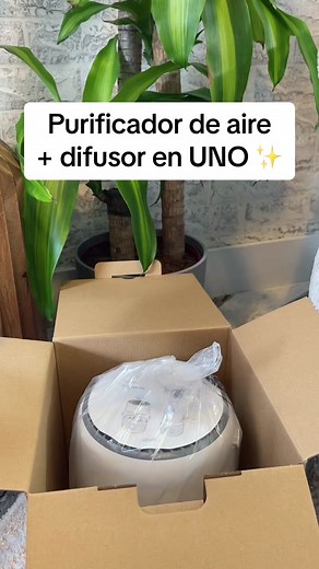Purificador de aire 2 en 1: adiós alergias y aire puro