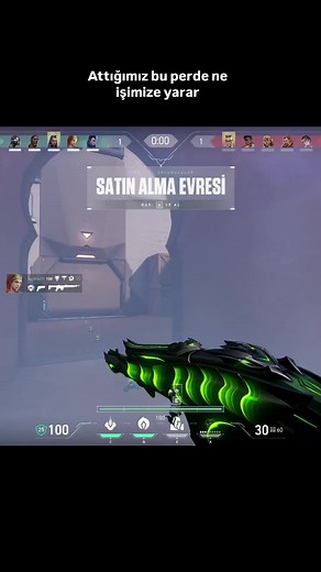 Mastering Viper in Valorant: Tips for 1000 Level Play