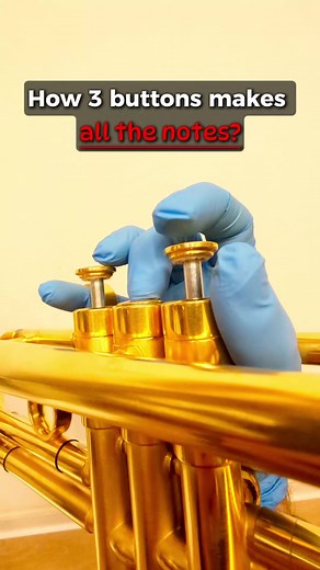 Understanding How a Trumpet Produces Musical Notes