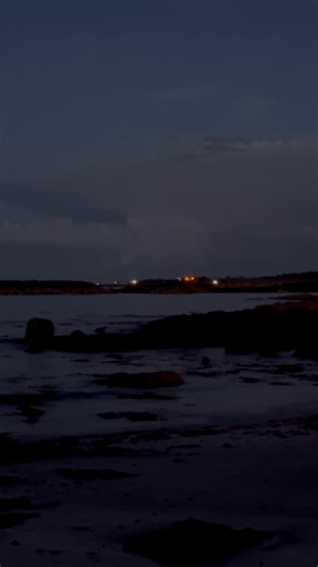 Spot the heron under the beautiful moon tonight and wait for the flash of lightening! | Photography by Fran Kennedy