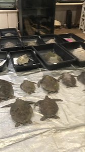 393K views · 9.1K reactions | We are back for the second round of...