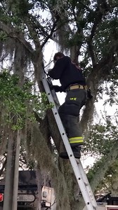 7.5K views · 41 reactions | Ocala Police Department on Reels | Facebook