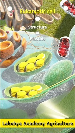 Vacuoles & Plastids Explained | Most Confusing Cell Organelles #shorts #viral #shortvideo