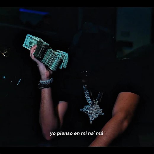 Discover Clarent's Burros: A Unique Experience