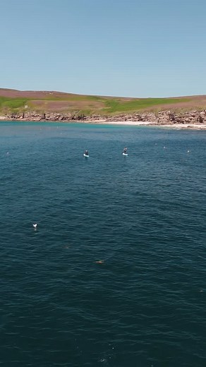 The views in our paddleboard lessons are truly special💙 We make sure to pick a location that gives a good adventure! We had a few magical days for it this summer. The swells are getting bigger and the winds stronger now so paddle boarding is less likely but if your keen to book in give us a shout and we can let you know if a calm window pops up | North Coast Watersports