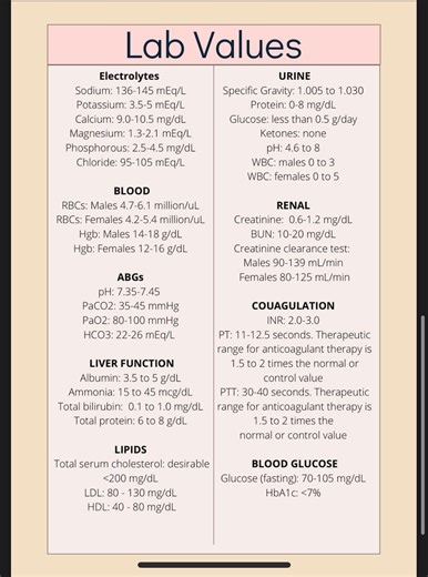 Nursing Lab Values Guide: Tips for Students (PDF) - Etsy