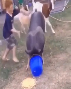 best funny video tik tok 2021 | Emergency!