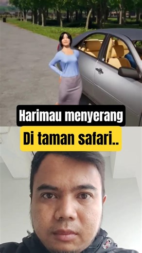 Don't go out in the safari park #safari #wild #tiger