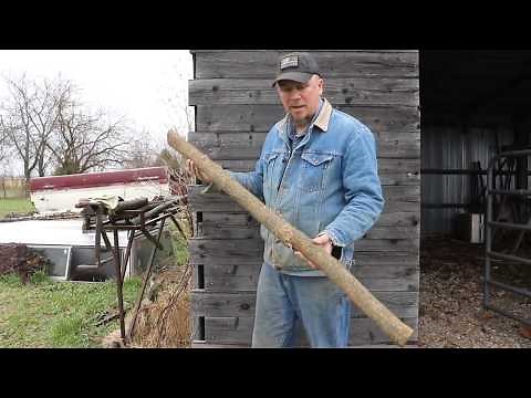 Making a Hedge Wood walking stick