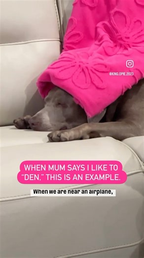 23K views · 692 reactions | I enjoy going underneath things and this...