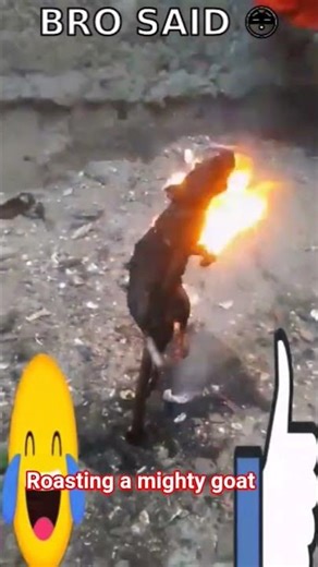 how to roast a goat #youtube.com