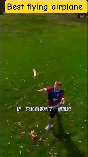 Crafting ultimate flying paper plane|flapping paper airplane #diy #origami