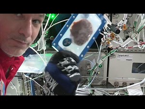First Space Cookies: Cosmic Cooking Is Half-Baked