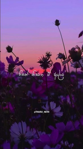 කදුලයි පවසන්නේ 💔 | Sansarini Mage #lyrics #status #trending