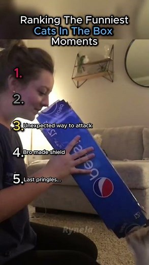 Ranking The Funniest Cats In The Box Moments!