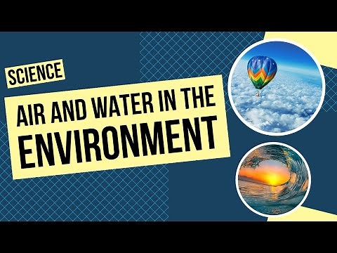 All About Air and Water in the Environment