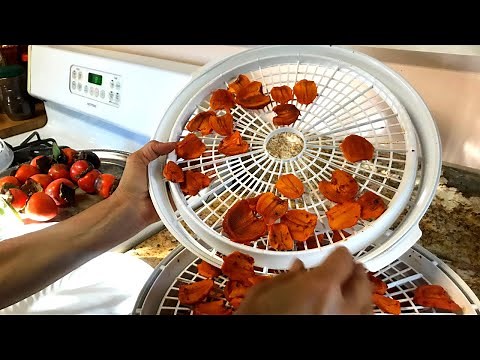 Preserving Persimmons as Dried Fruit - Easy DIY