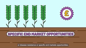 Check out this video from AIC that gives a great overview of the Seed Sector.  It explains the role between seed breeders and end users, the development of new varieties and the benefits to farmers. ​‍ | KWS UK | Facebook