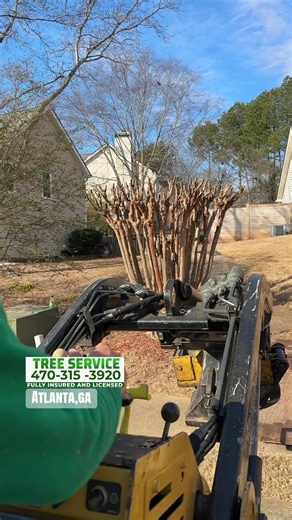 Reliable Tree Removal Services in Atlanta