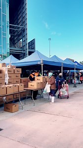 Los Angeles City College on Reels