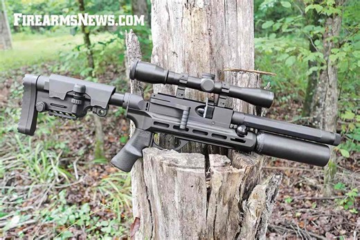Rapid Air WORX HM1000 Microhunter .25-Cal Air Rifle Review - Firearms News