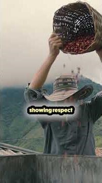 Java Coffee Wasn't Actually Named After Java!