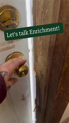 Enrichment for animals in captivity is very important for both physical and mental health. There are 5 types of enrichment: • Social (Interactions with same specie or different species, including humans) •Sensory (Stimulates senses) •Environmental (Things in there habitat such as decks, pools, substrates, or arranging things differently) • Nutritional (Foraging activities meant to extend the feeding time) • Occupational/Cognitive (Meant to encourage problem solving and mental stimulation) Provid