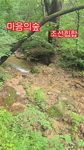 #마음의숲 #조선힙합 #백사실계곡