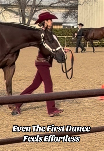 Mastering Showmanship in Equestrian Sports